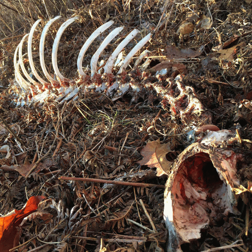 Shroud Of Despondency : Air of Abrasion Shroud Of Despondency : Air of Abrasion